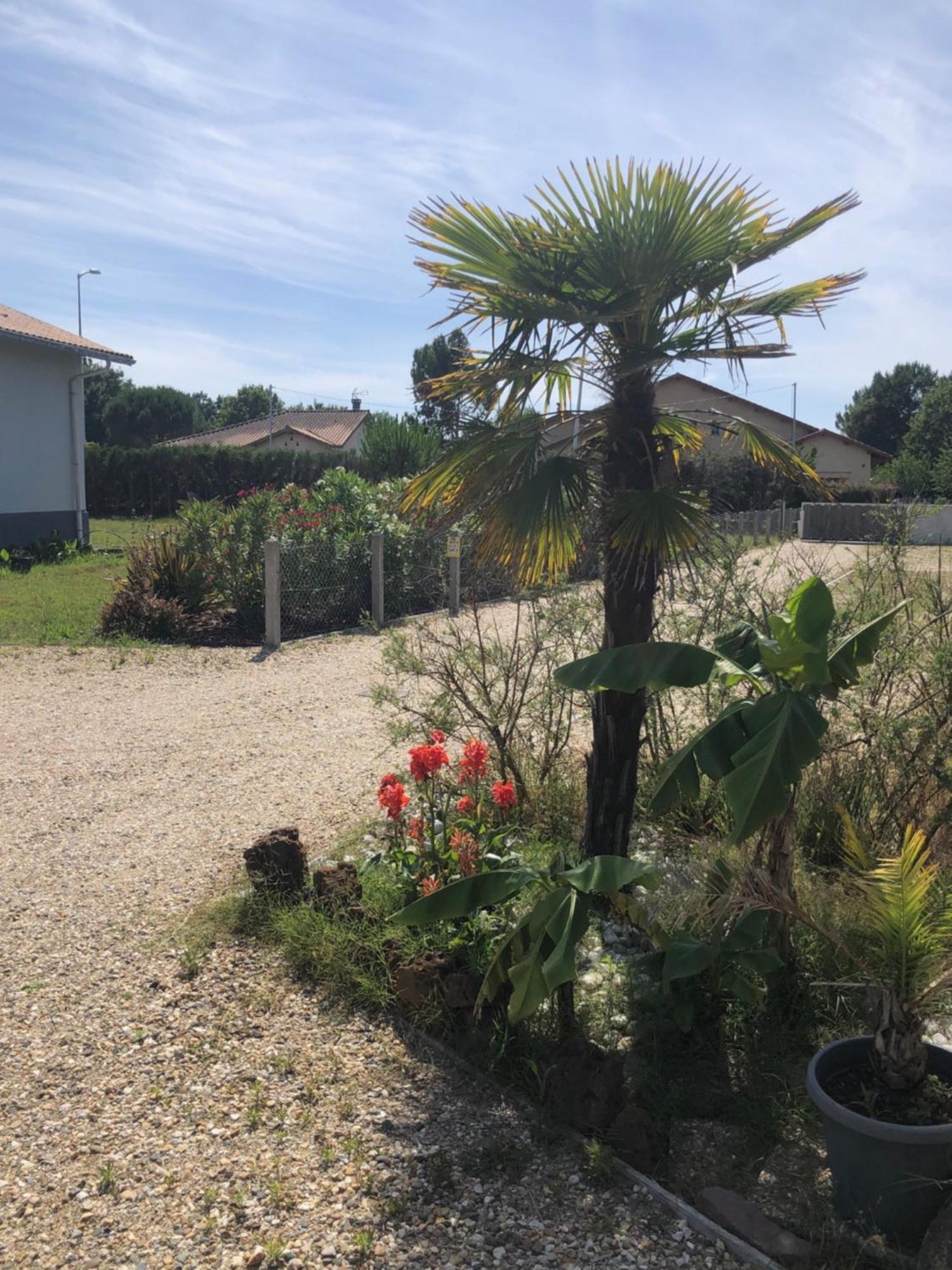 "Les Logis D'Argent" Chambre D'Hote Avec Wc, Sdb, Tv, Wifi, Option Petit Dejeuner , Parking Mimizan-Plage Exteriér fotografie